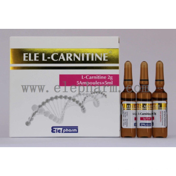 Lcarnitina zum Abnehmen Injektion